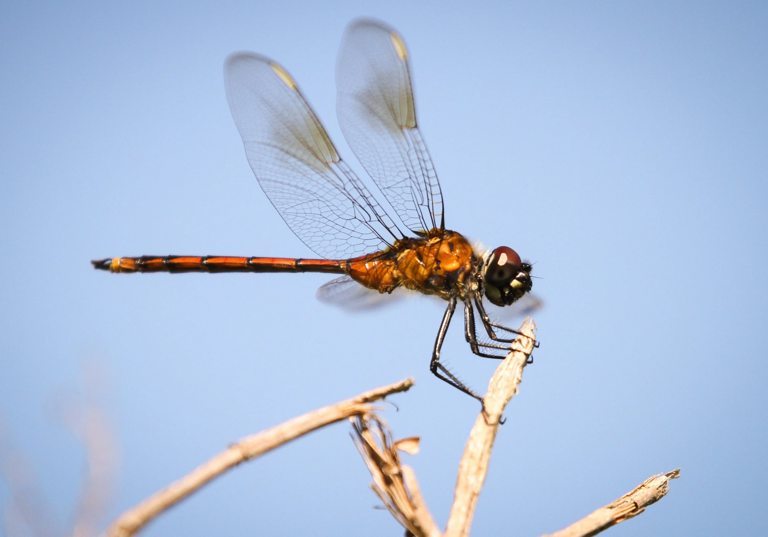 lighttouch (1 of 1).jpg