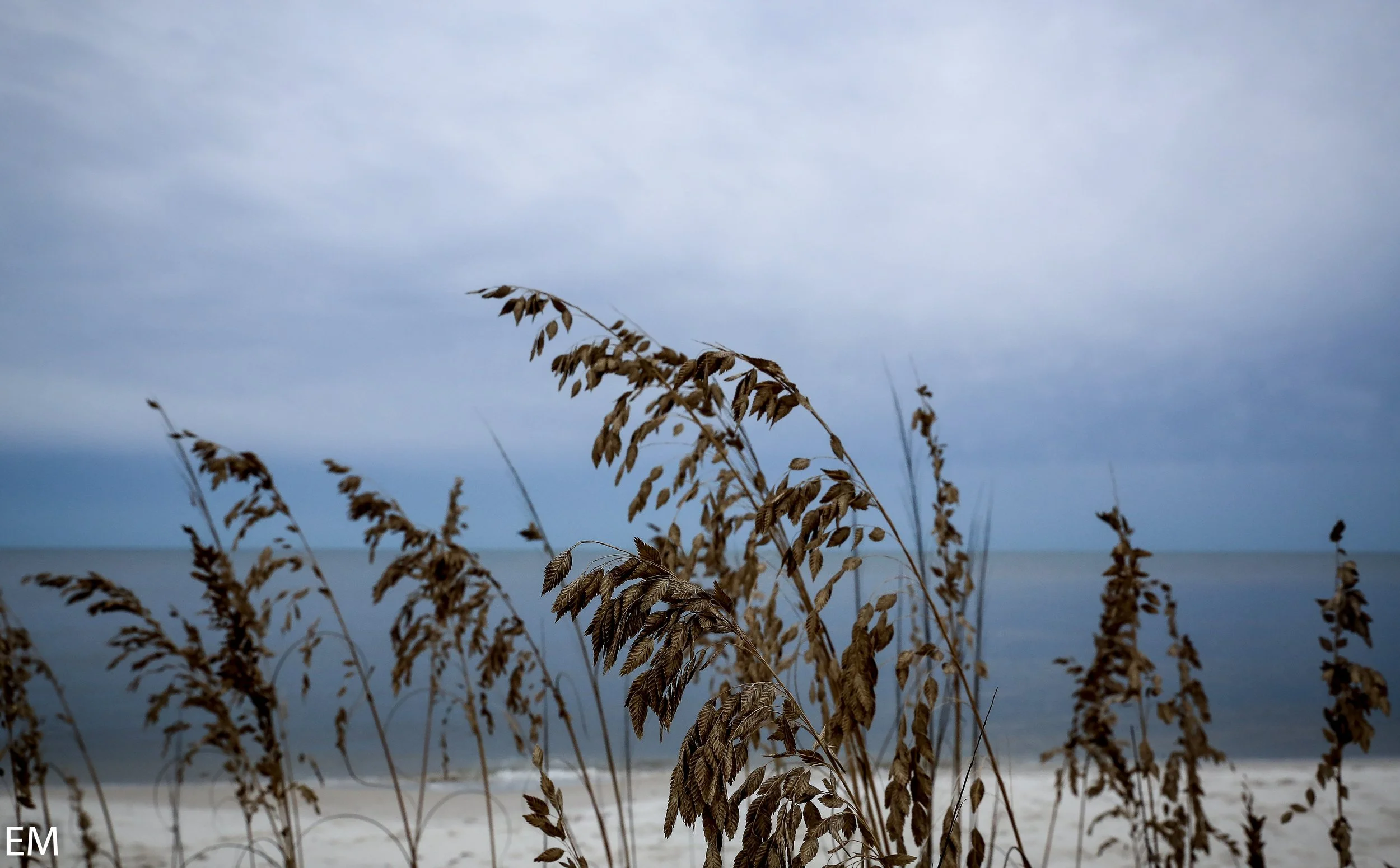 blueweekend (1 of 1).jpg