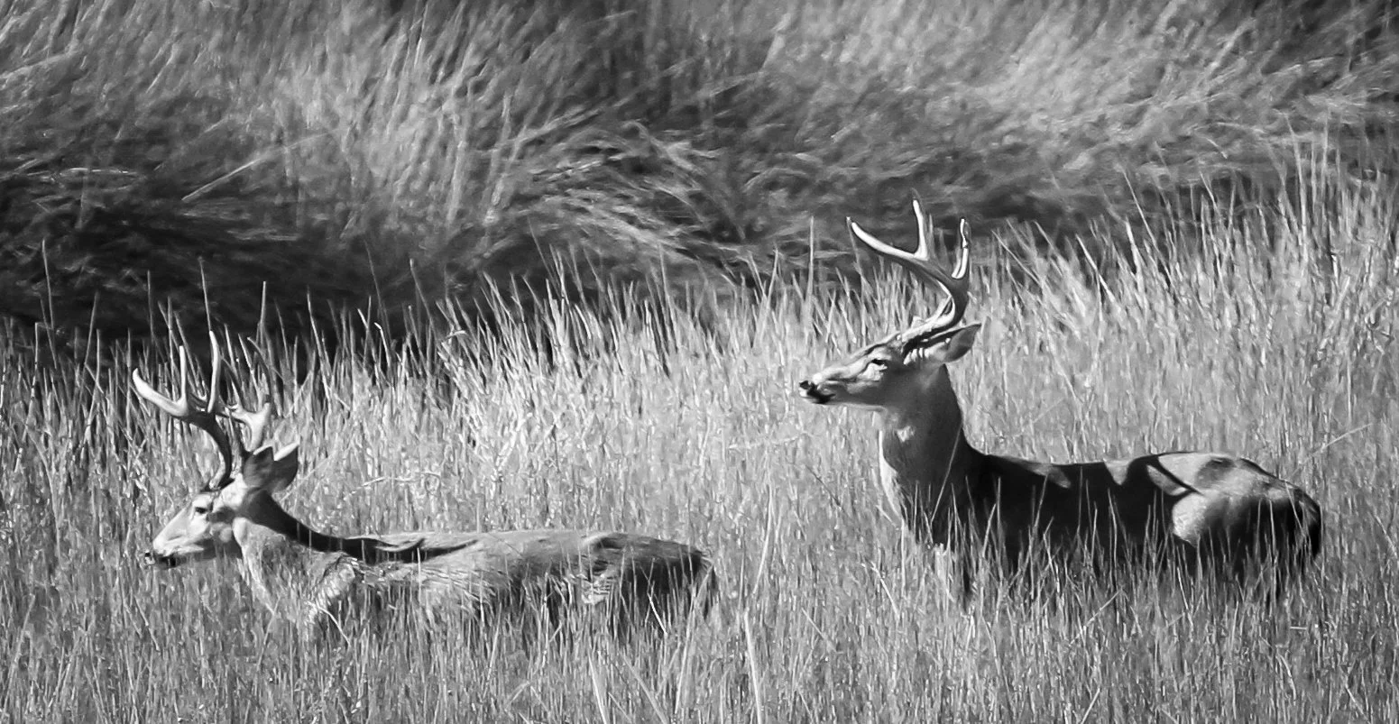 canalride (7 of 11).jpg