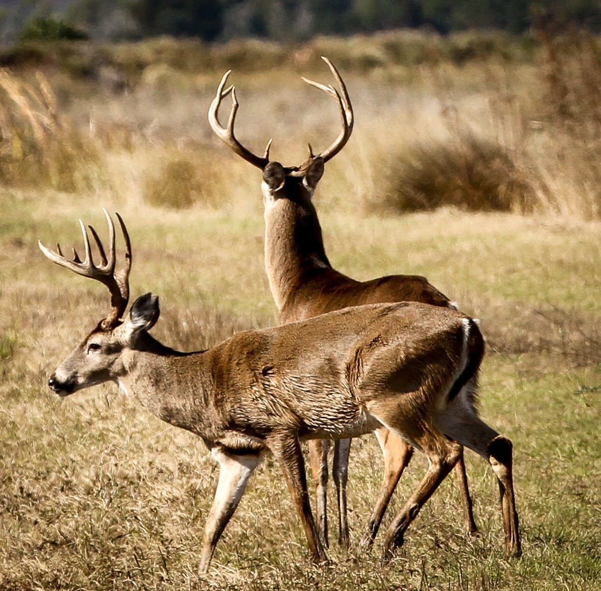 canalride (6 of 11)-2.jpg