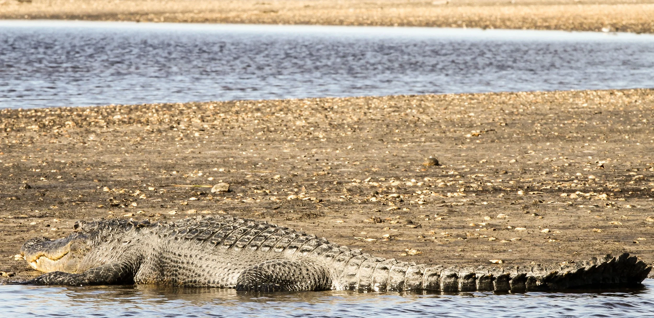canalride (9 of 11).jpg