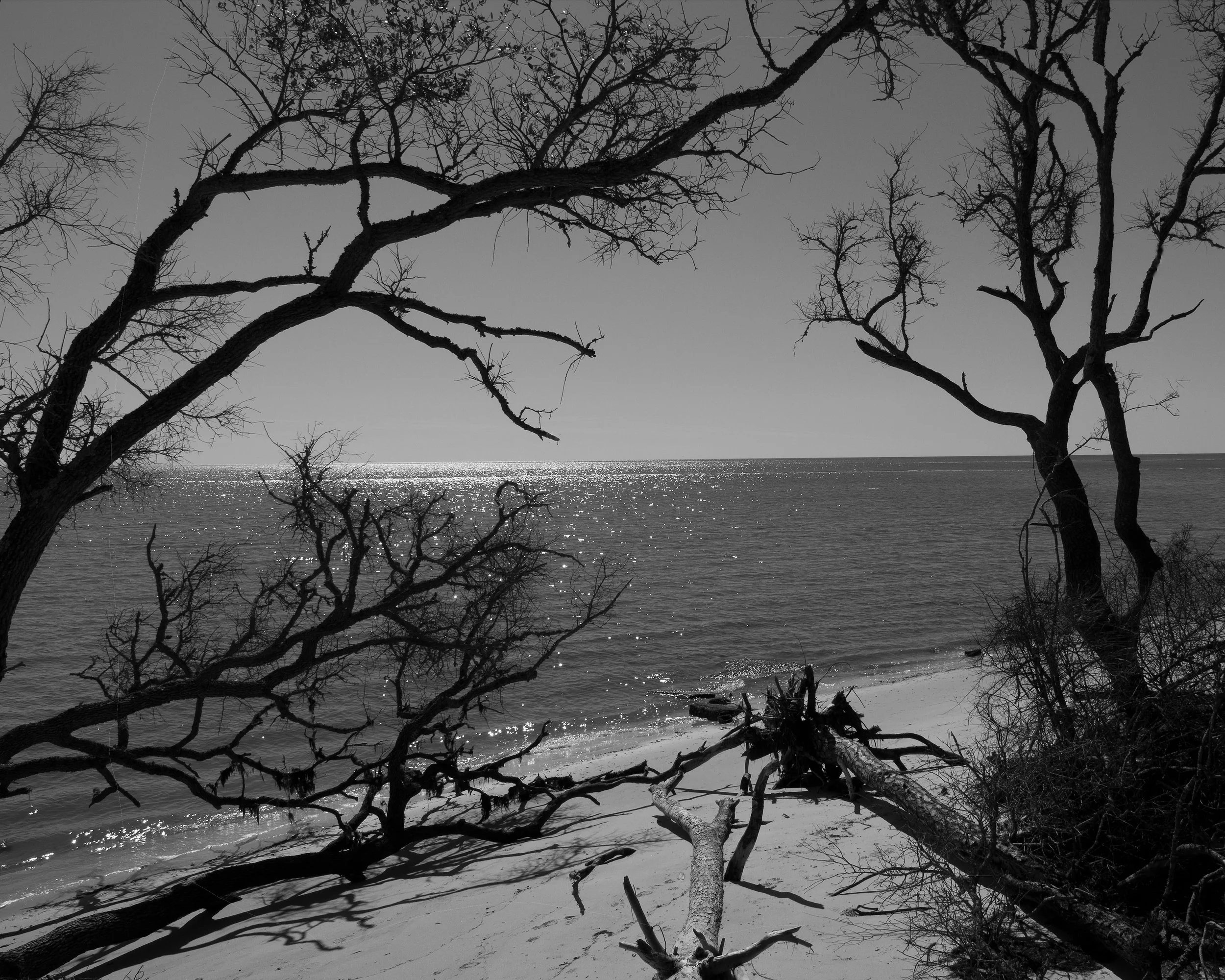 beach (1 of 1)-4.jpg