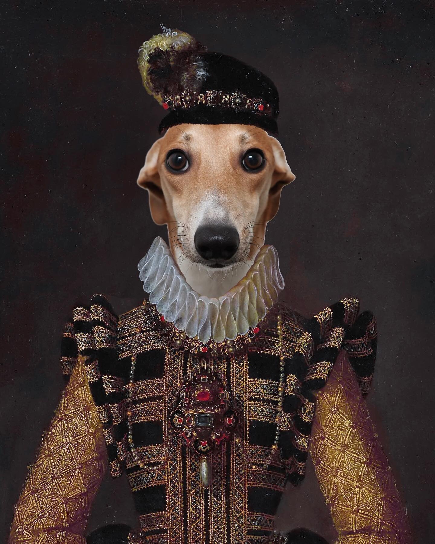 They call me the dragon slayer 🗡️🐉
-  Lorde Nash
.
.
.

#whippetsofinstagram #whippets #iloveiggy #puppies #iggiesofinstagram #iggylove #happydogs #iggy #dogsofinstagram #cutestdogsofinstagram #iggylife #whippig #whiggy #whippig #iggy #italiangreyh