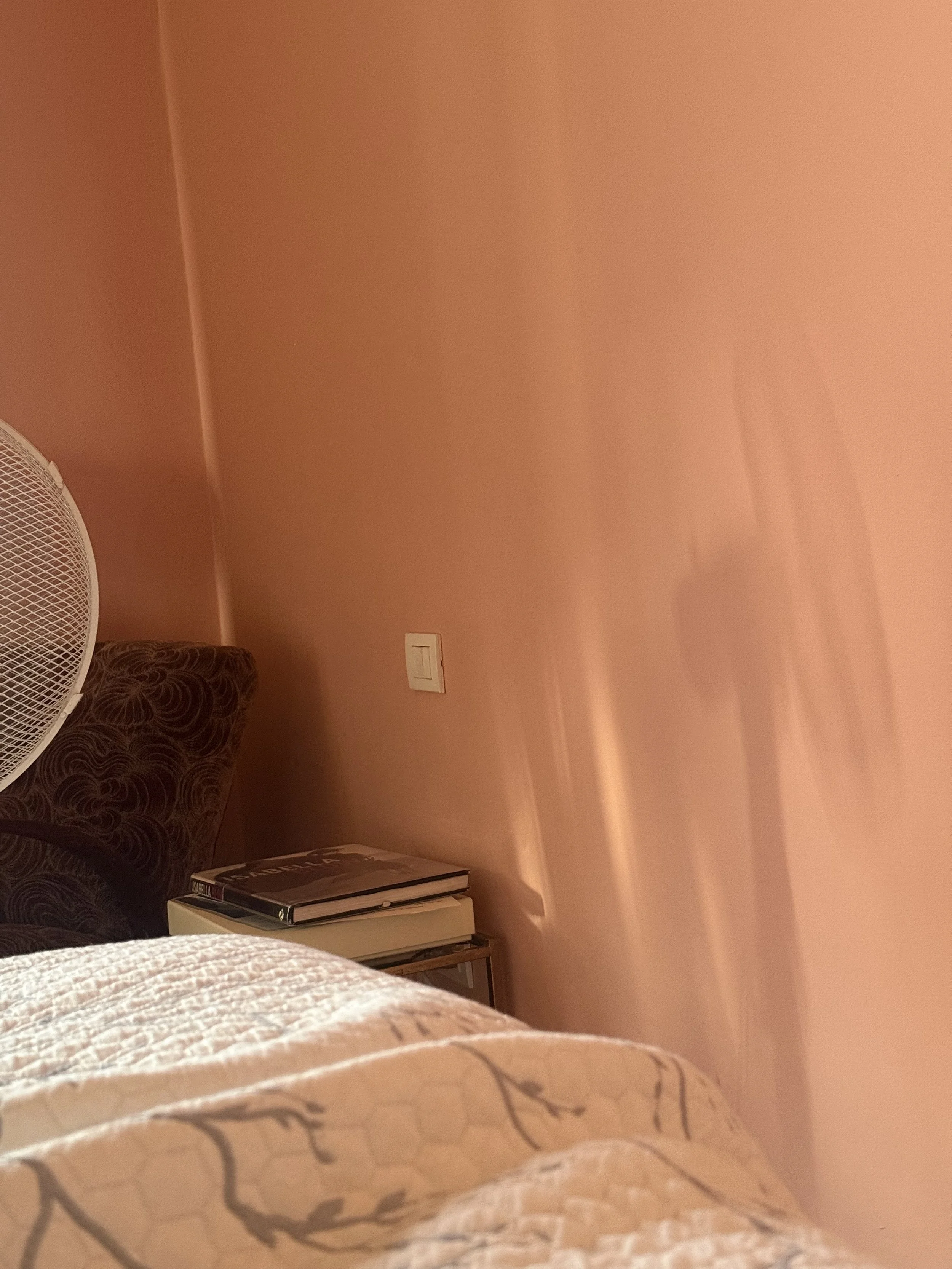 Morning Bed Reflections.jpg