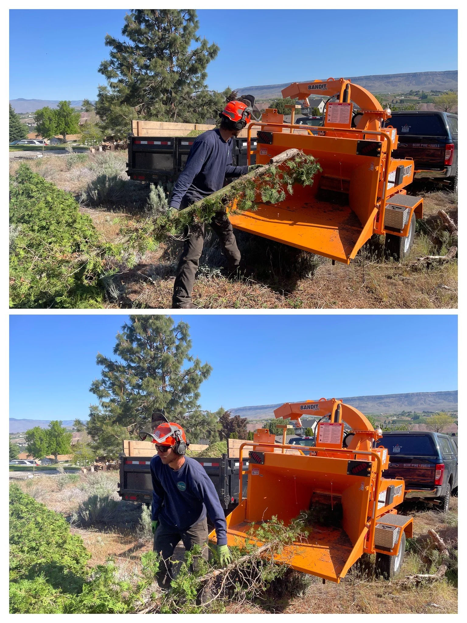 IMG_6067-COLLAGE (1).jpg