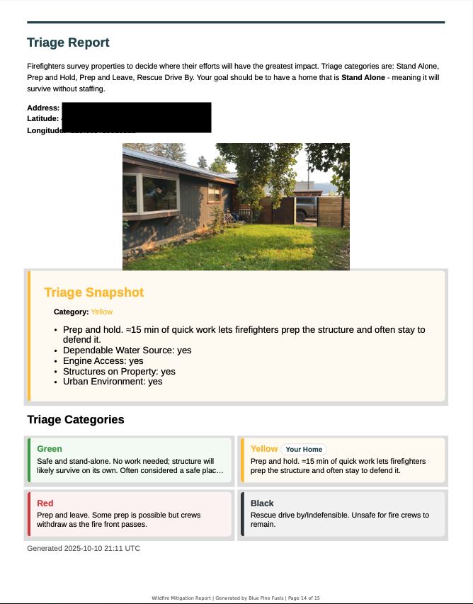 Triage Report.png