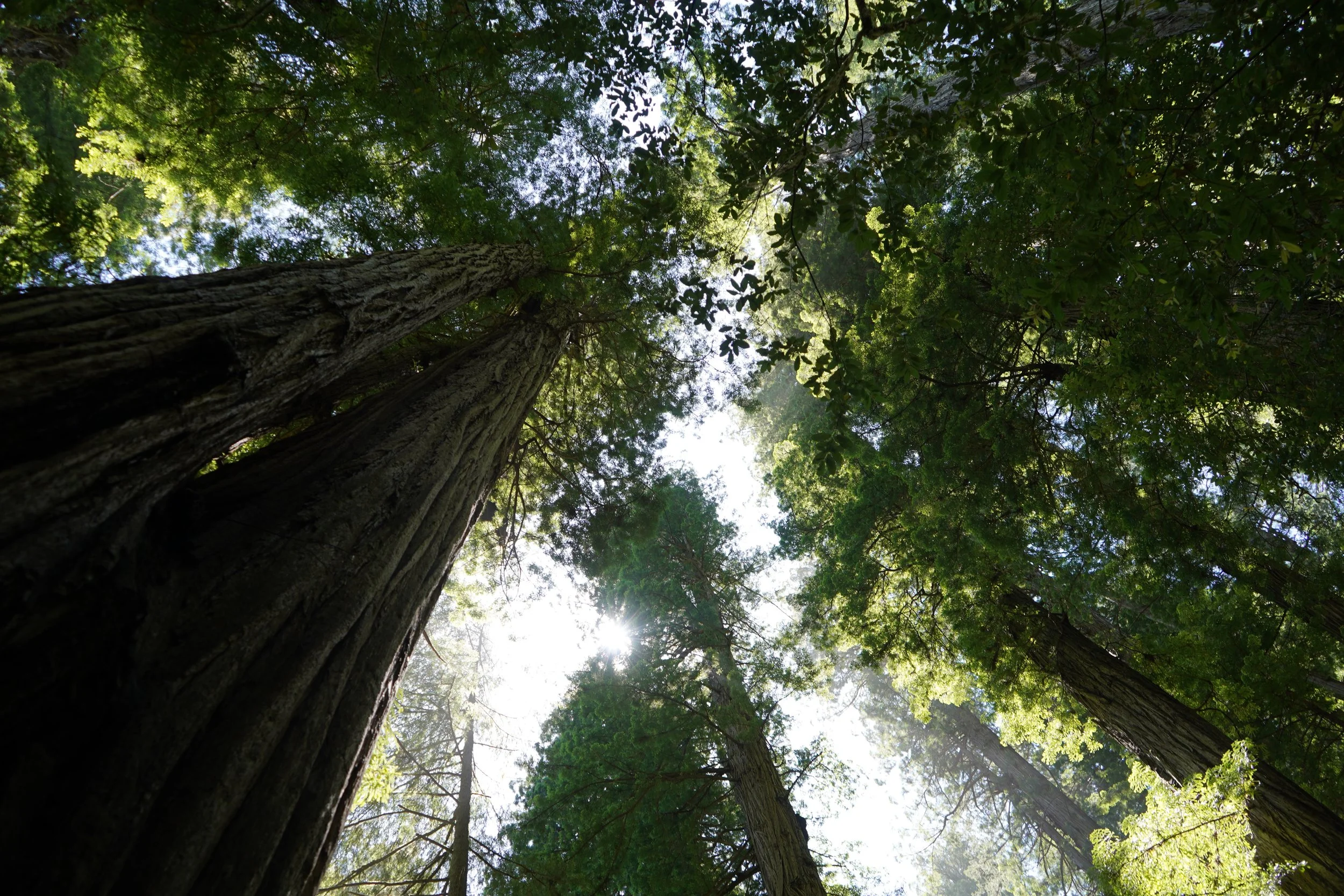 Somatics for Safety - A Tool For Your Pocket