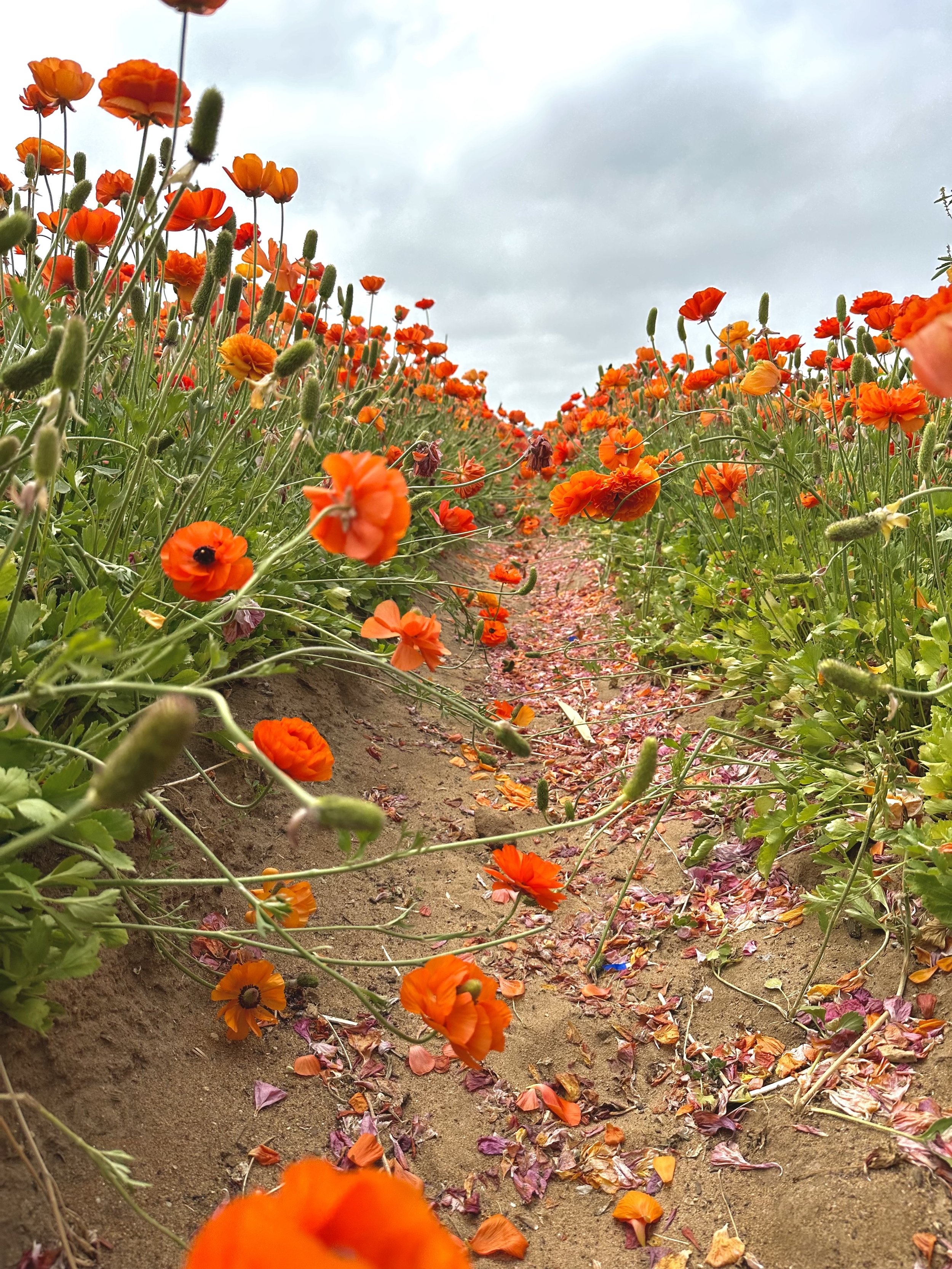 Year of Yes (&amp; My Big Win Already!!)