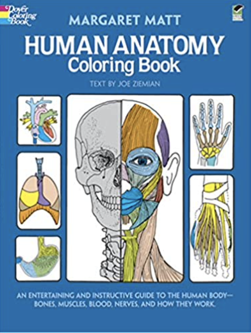 Human Anatomy Coloring Book: an Entertaining and Instructive Guide to the Human Body - Bones, Muscles, Blood, Nerves and How They Work (Coloring Books)