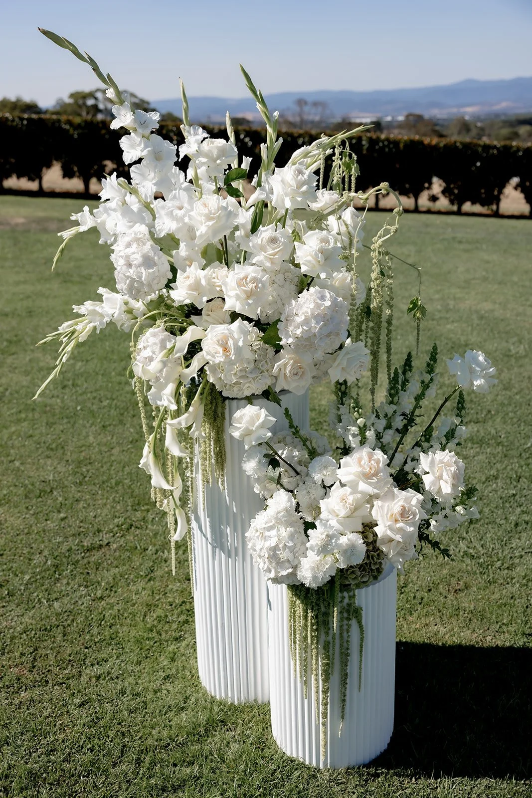 IMG-10258_websize.jpg