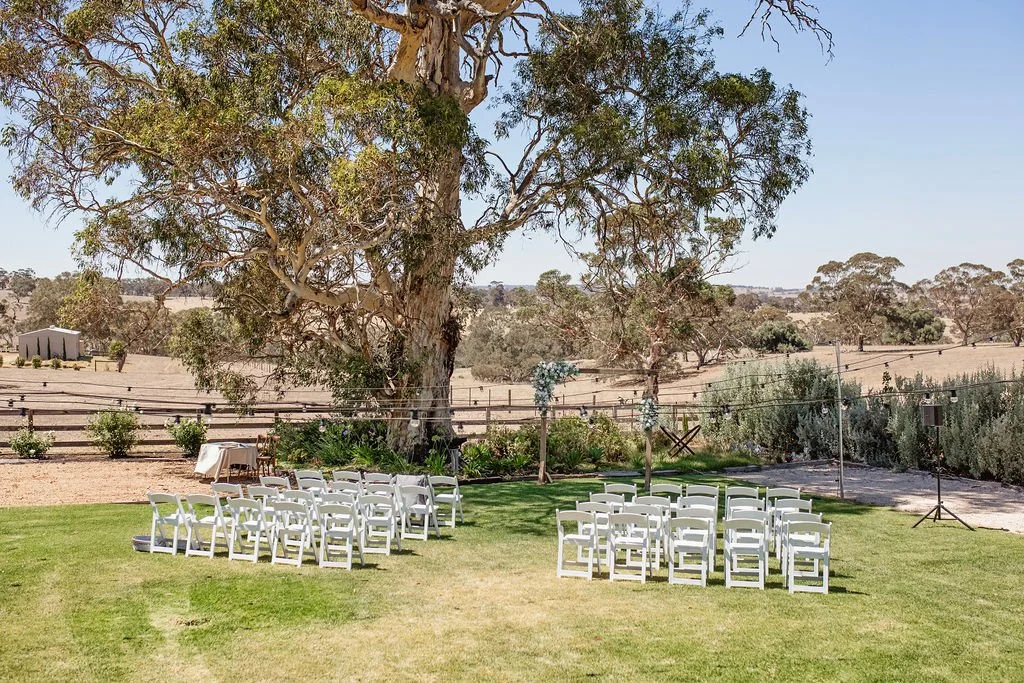 Outdoor wedding setup with white chairs arranged on grass facing a large tree under a clear sky.