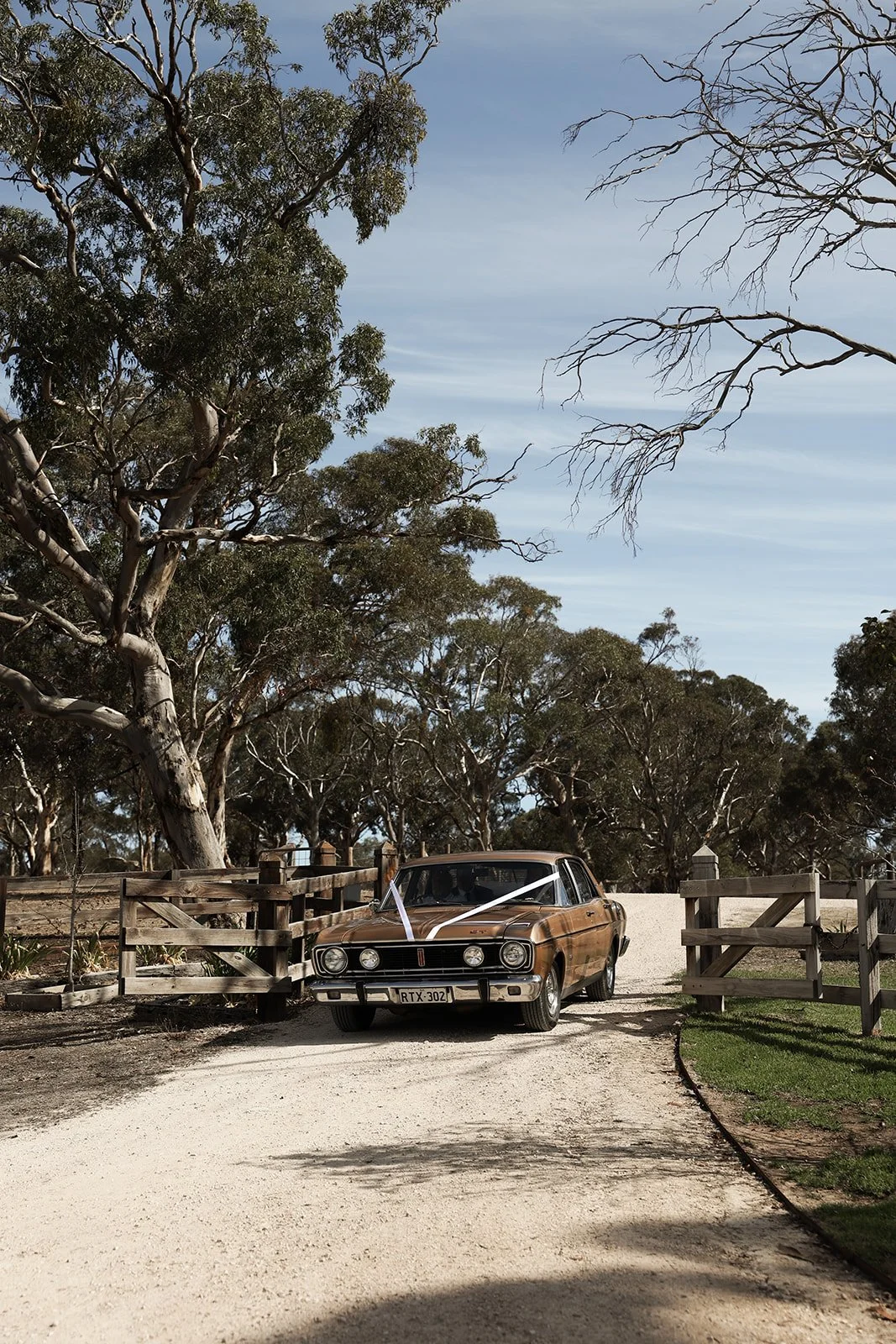 A vintage brown car with wedding ribbons is parked on a dirt driveway beside a wooden gate, surrounded by trees and greenery under a blue sky.