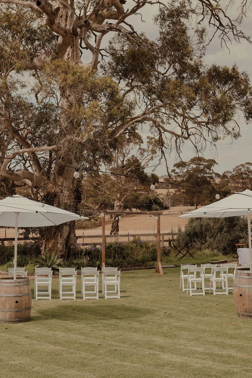An outdoor setting with white chairs, umbrellas, and wine barrels on a grassy lawn. There are large trees and string lights hanging, with a rural landscape in the background.