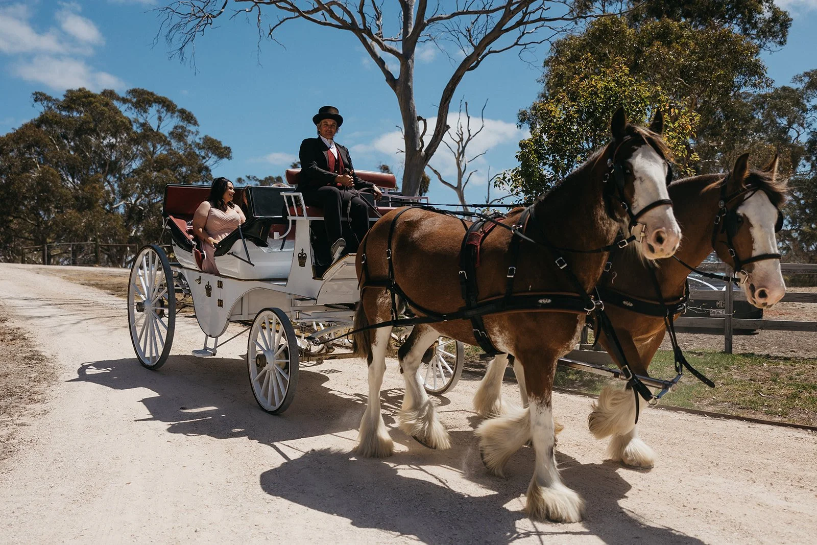 A decorated horse-drawn carriage with two women and a man dressed in vintage formal attire, traveling on a dirt road with trees in the background under a partly cloudy sky.