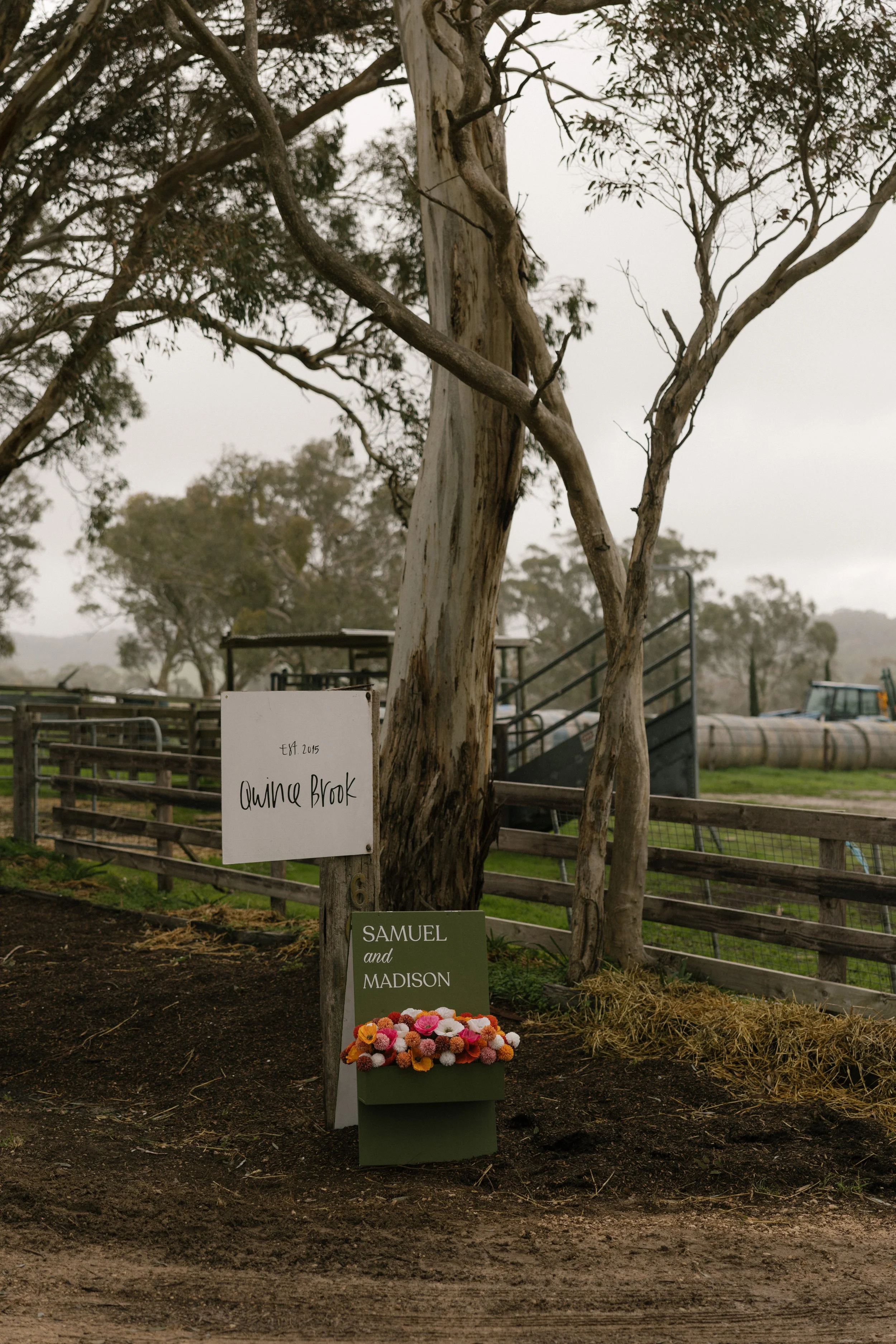 A white sign that reads 'Quince Brook' and a green box filled with colorful flowers, placed against a tree with other trees and farm equipment in the background on a cloudy day.