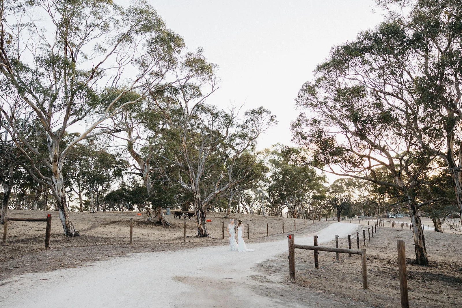 Two women in white dresses walking along a dirt path surrounded by trees during sunset.