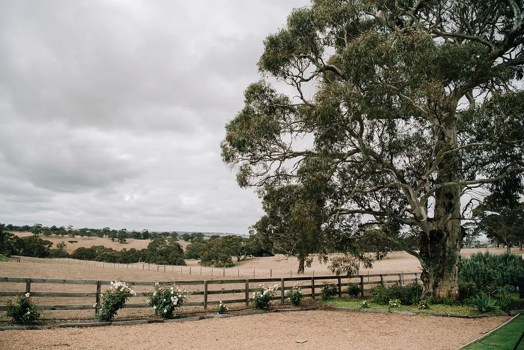 Wide outdoor scene with a large tree on the right, a wooden fence, and some flowering plants in the foreground. Rolling fields and more trees are visible under a cloudy sky in the background.