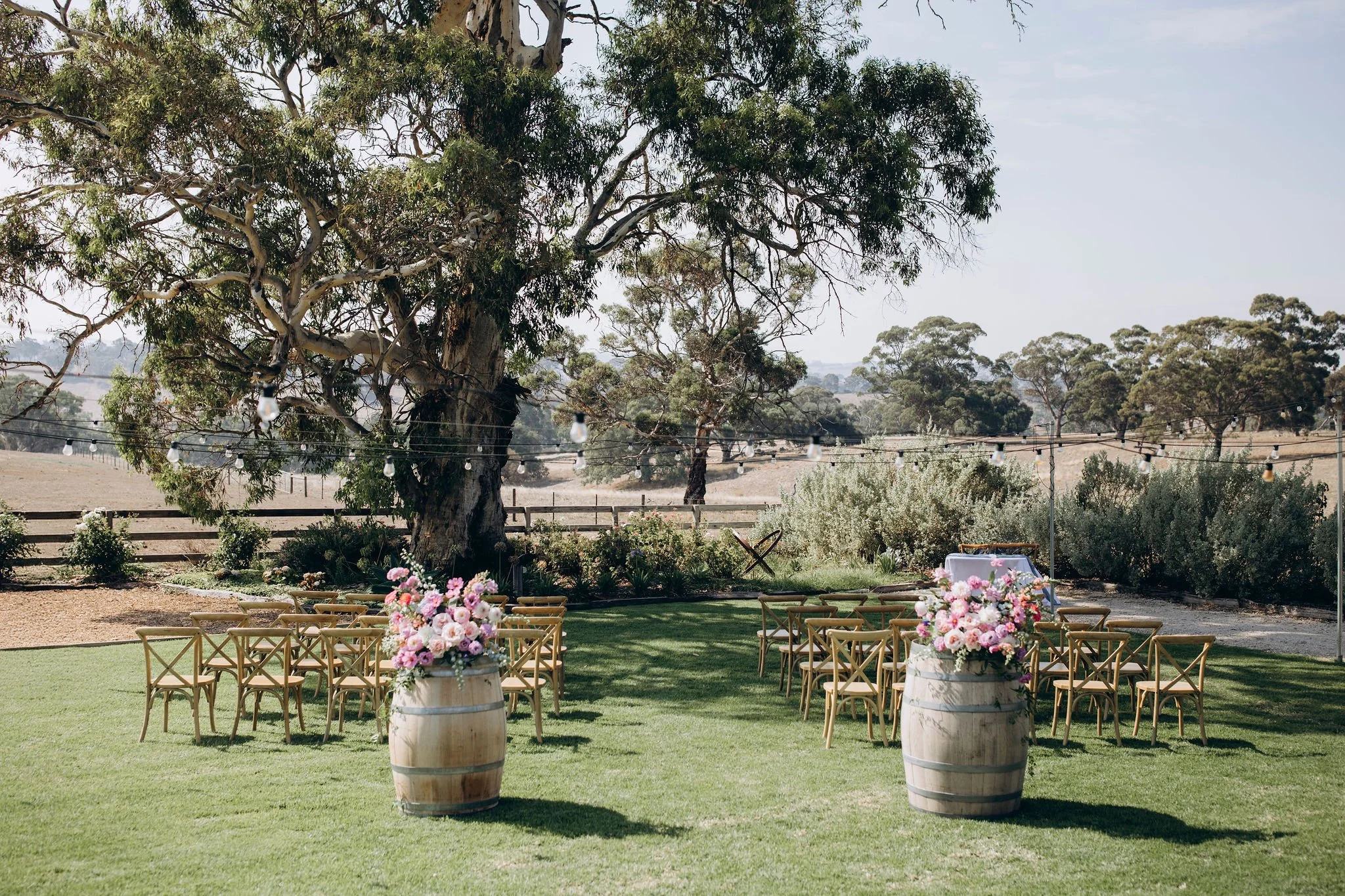 Outdoor wedding setup on a grassy lawn with wooden chairs, large floral arrangements in barrels, and string lights under a big tree in a rural landscape.