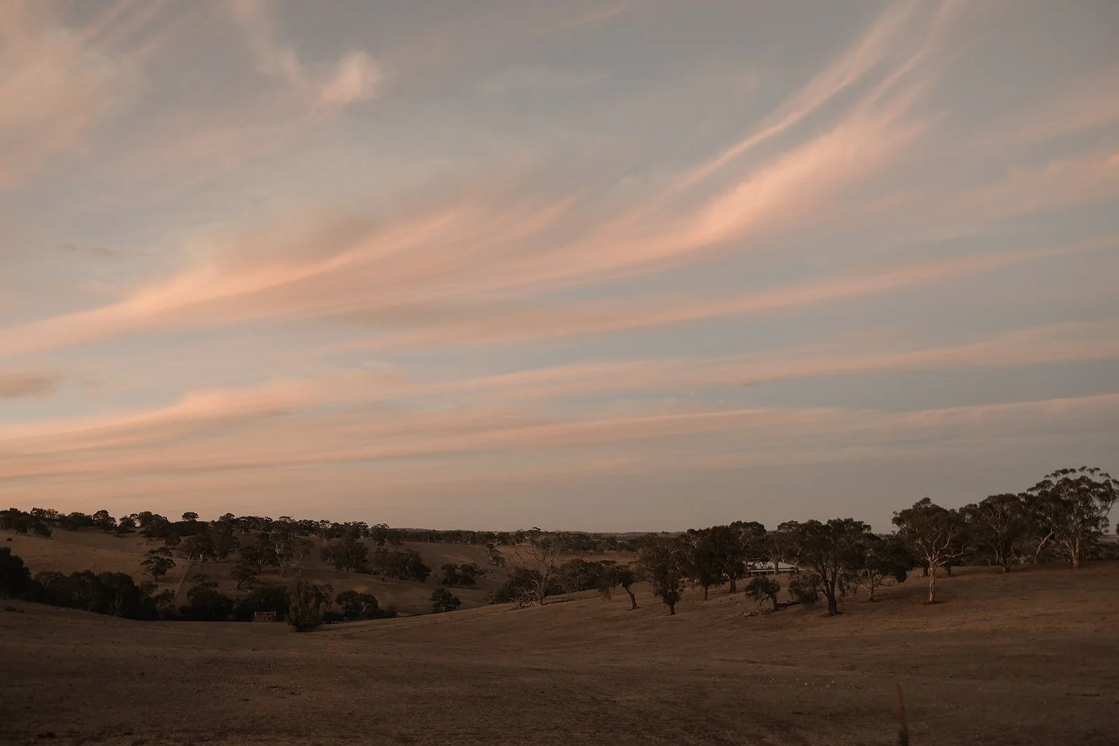 Scenic landscape of rolling grassy hills with scattered trees under a sky with pink and blue wispy clouds at sunset or sunrise.