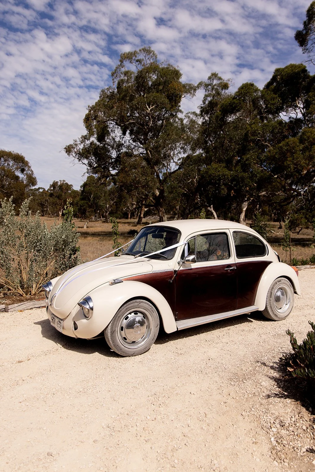 A vintage Volkswagen Beetle with a white top and dark brown sides parked on a dirt road under a partly cloudy sky, with trees and bushes in the background.
