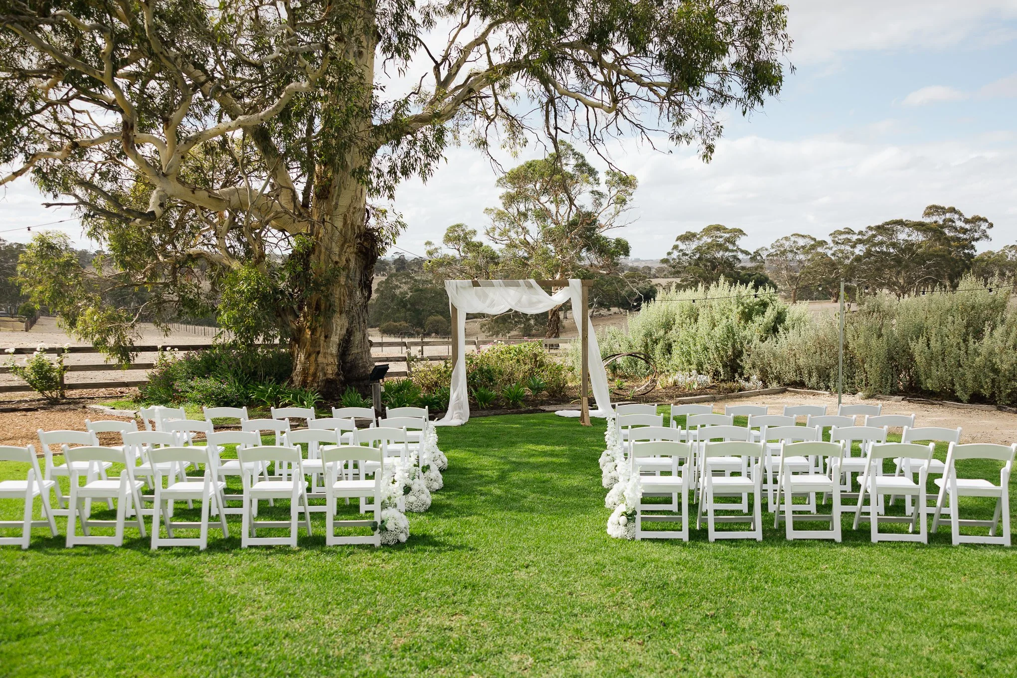 Outdoor wedding setup with white chairs arranged on grass facing a white draped arch under a large tree.