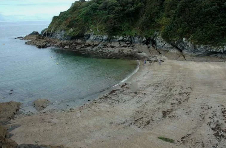 Rockpool Ramble  – Readymoney Beach 