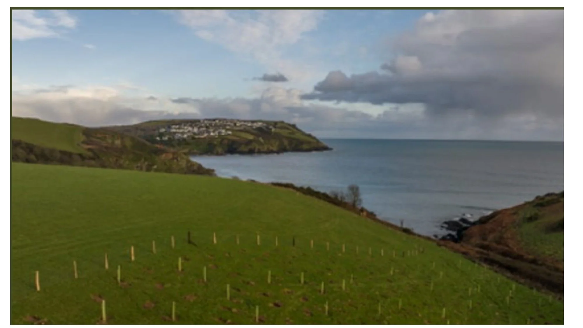 MEADOW RESTORATION WALK – Coombe Farm