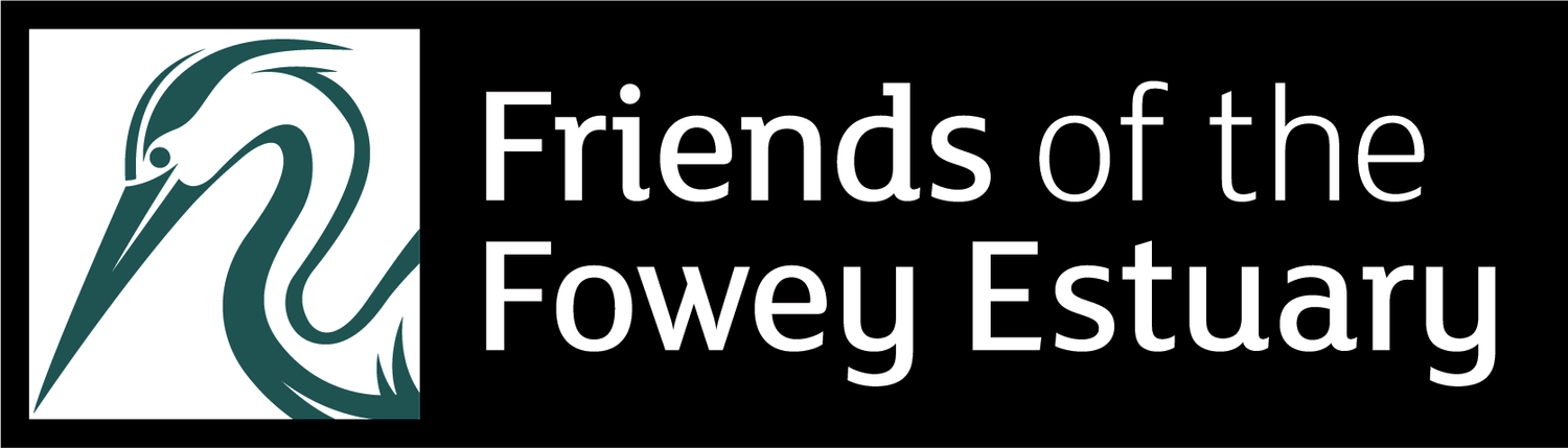 Friends of the Fowey Estuary