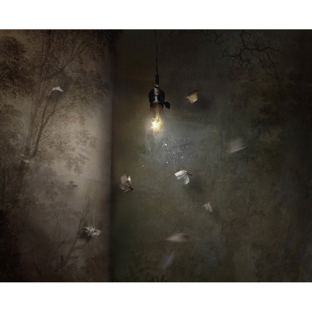 LUMEN, 2021
Digital
80 x 68 cm, Edition of 40
£595 Unframed
