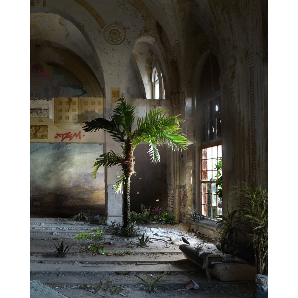 PALM, 2020
Digital
44 x 53 cm, Edition of 25
£425 Unframed
