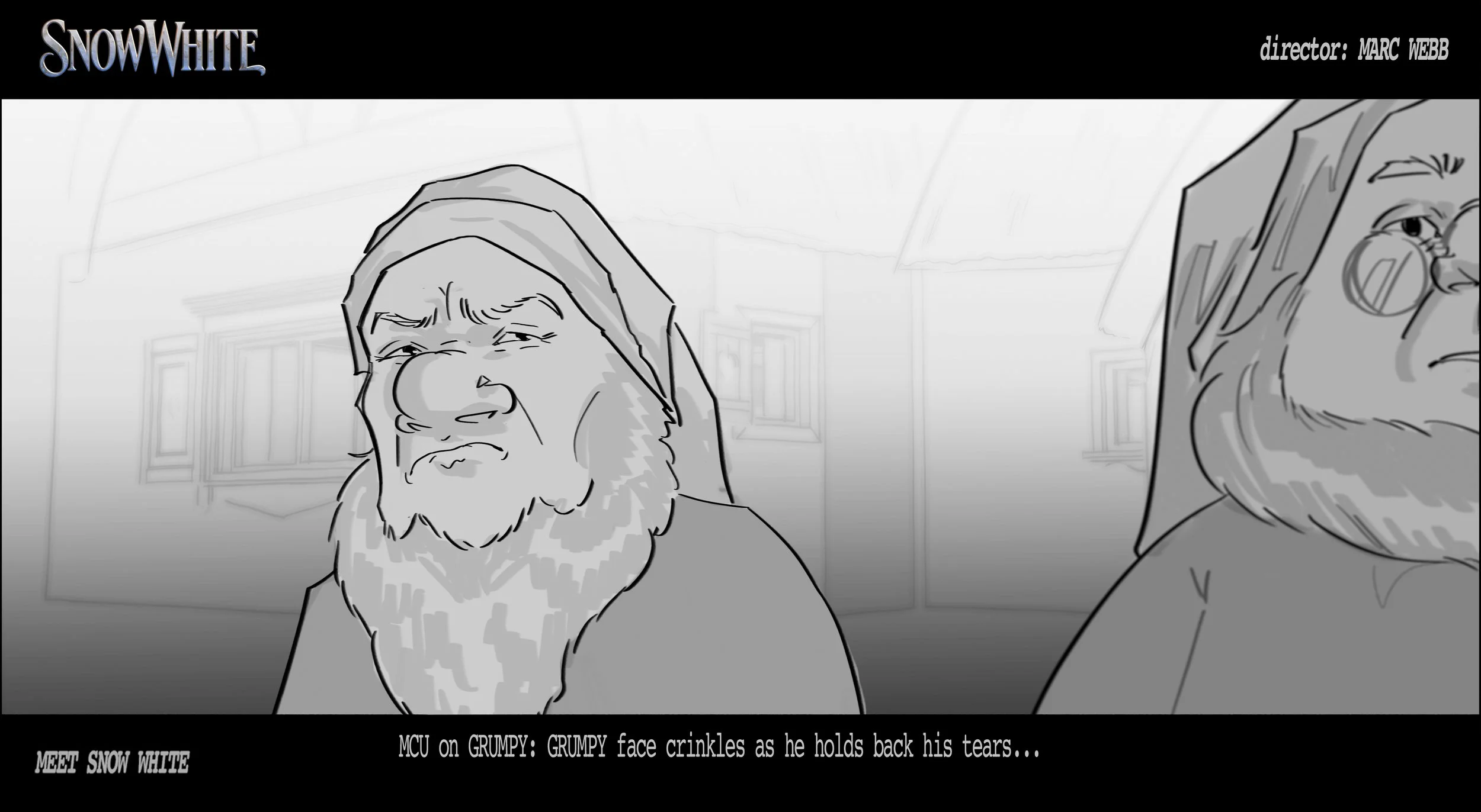 46c.jpg