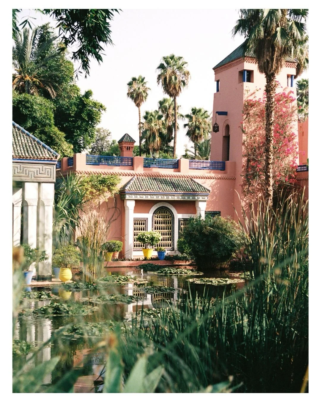 Jardin Majorelle, Marrakech - Morocco