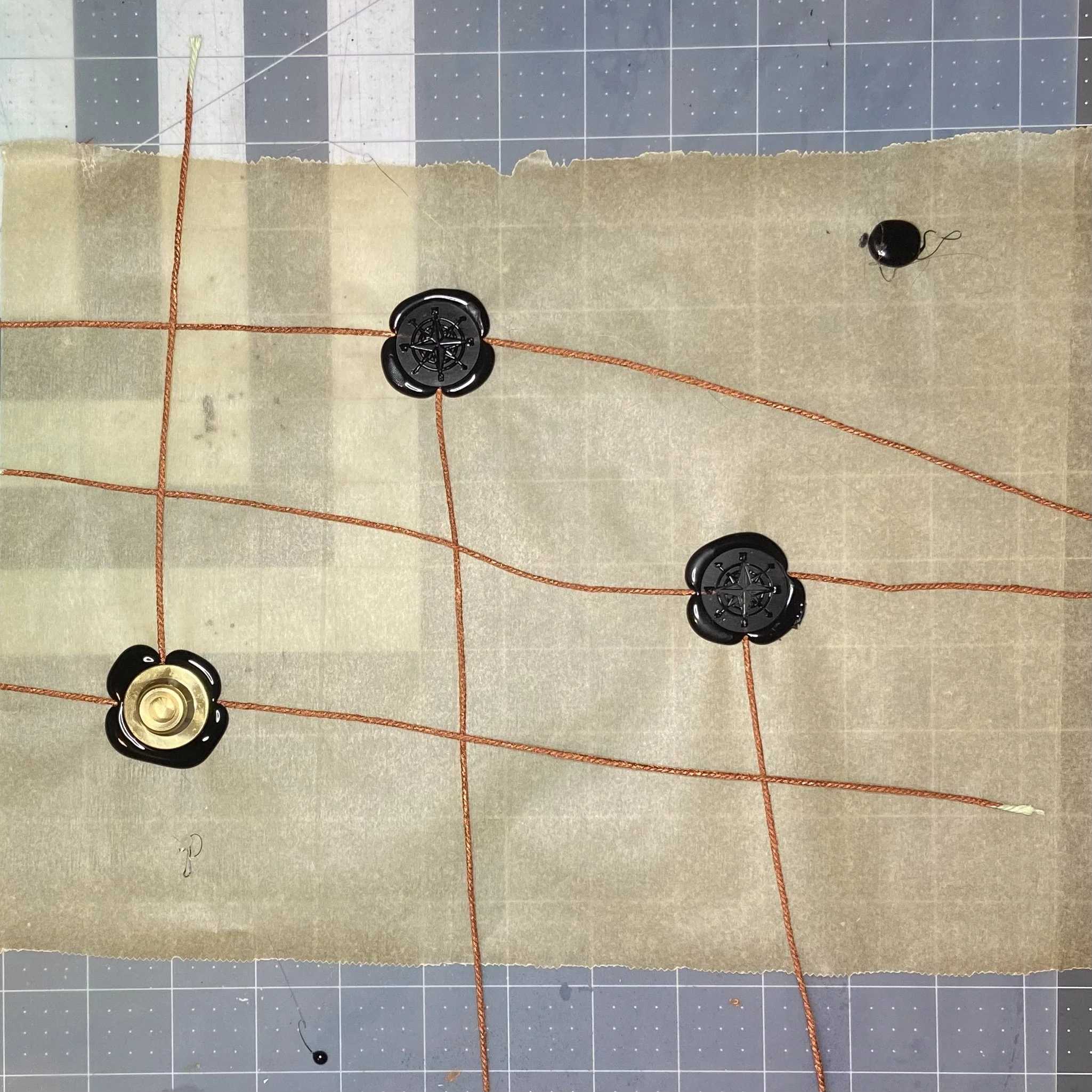 Seals n wire 1.jpeg