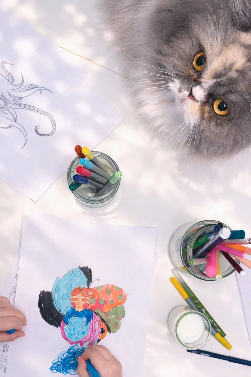 Curious cat and colorful creativity-2.jpg