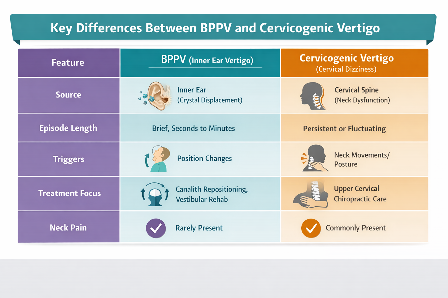 BPPV vs Cervicogenic Vertigo: How Physical Therapy and Upper Cervical Care Work Together