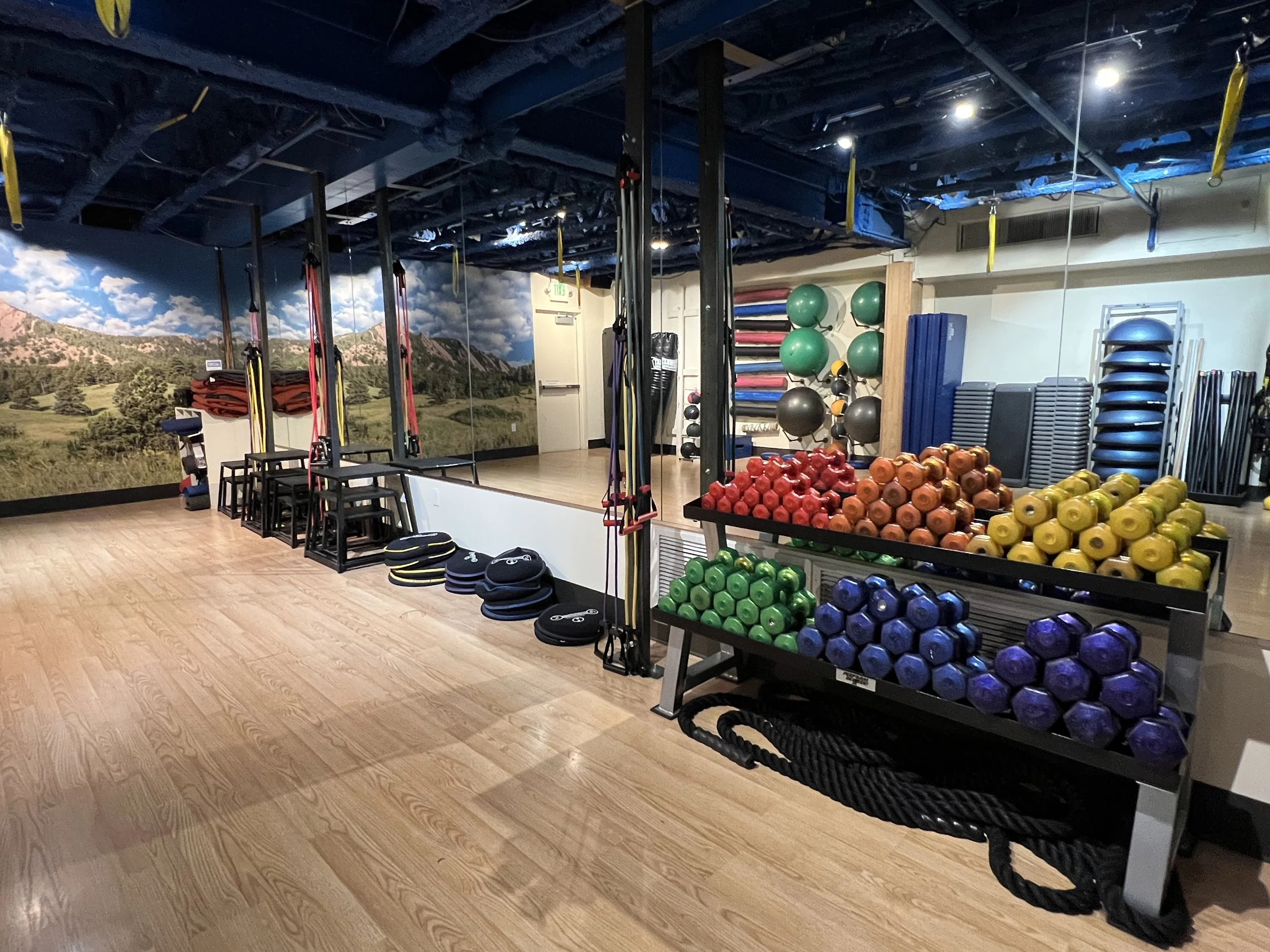 Empty fitness studio with colorful dumbbells, exercise balls, mats, and ropes, with a mountain landscape mural on the wall.