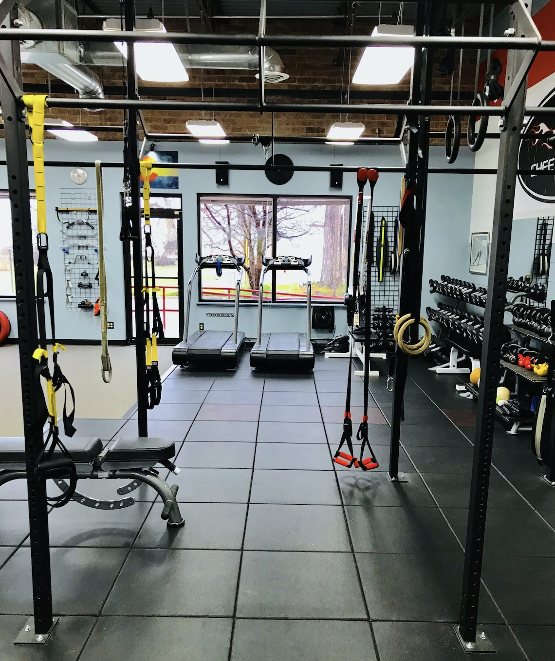 Interior view of a gym with workout equipment including TRX straps, treadmills, dumbbells, kettlebells, and exercise balls, with windows showing trees outside.