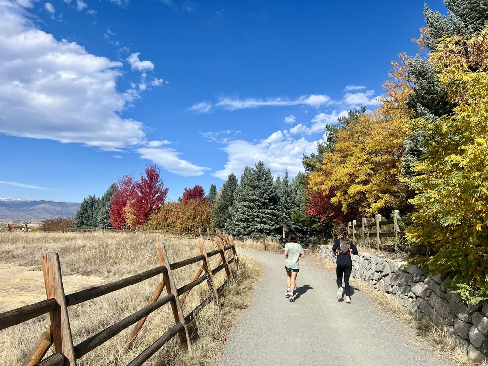 Two runners on a gravel path lined with autumn trees