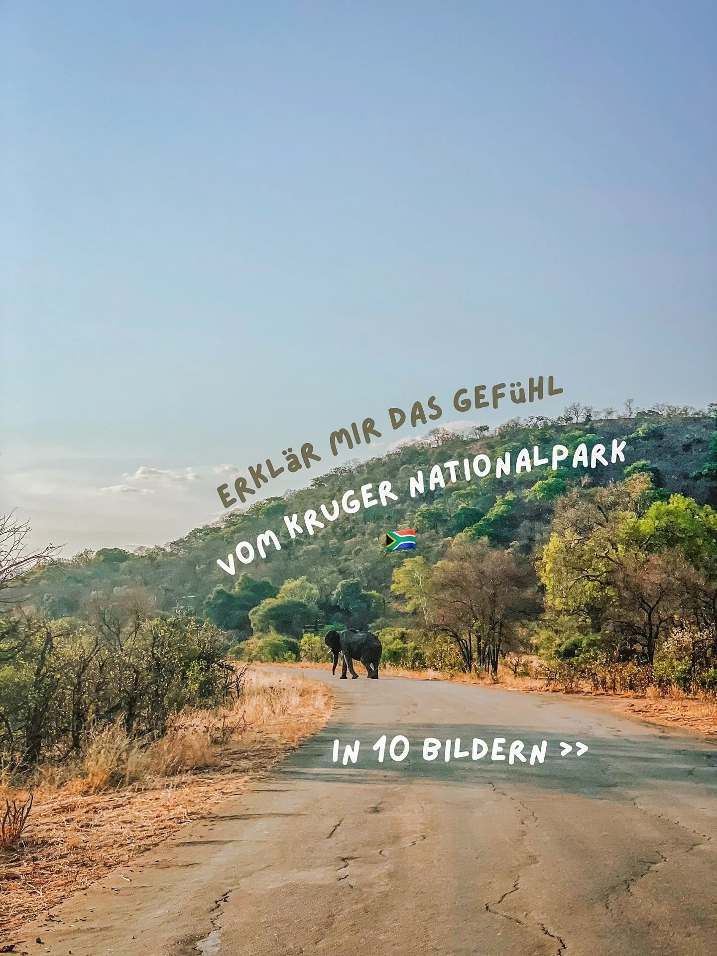 ein land zu bereisen bedeutet f&uuml;r uns, das gef&uuml;hl zu finden, wie es dort ist. was es mit einem macht und wie es sich anf&uuml;hlt. dieses gef&uuml;hl vom kr&uuml;ger nationalpark haben wir versucht, dir mit 10 bildern zu beschreiben 🫶🏼

#