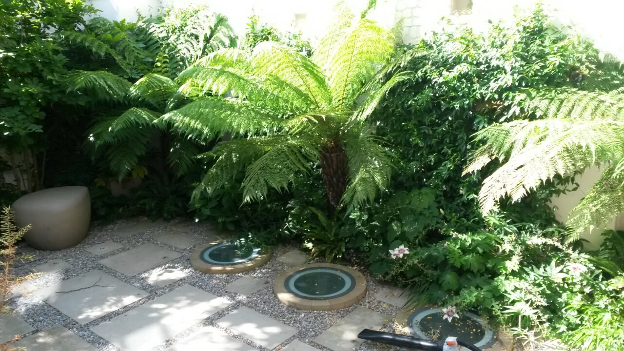 SUNKEN JUNGLE GARDEN