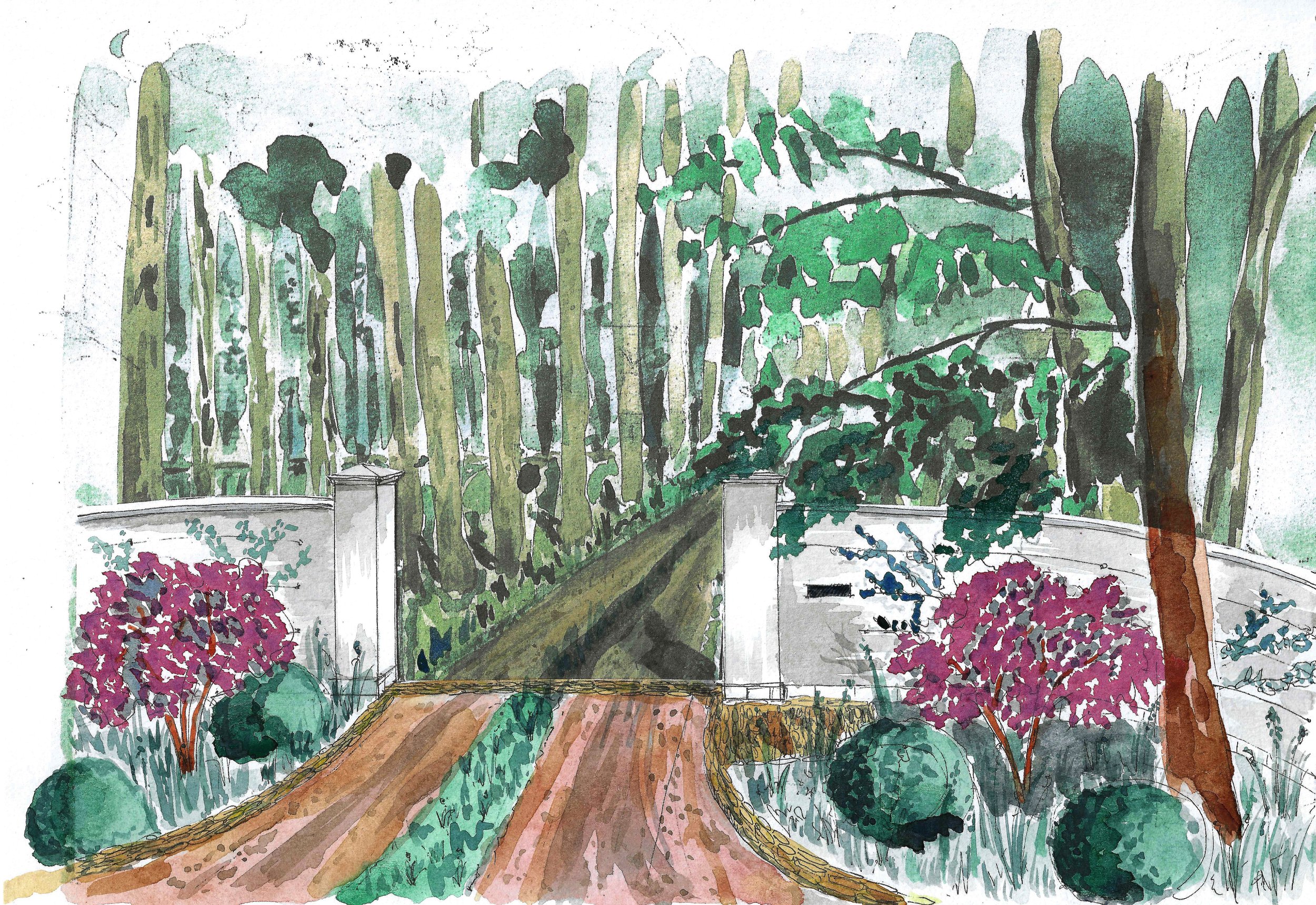 Entrance - as proposed  planted.jpg