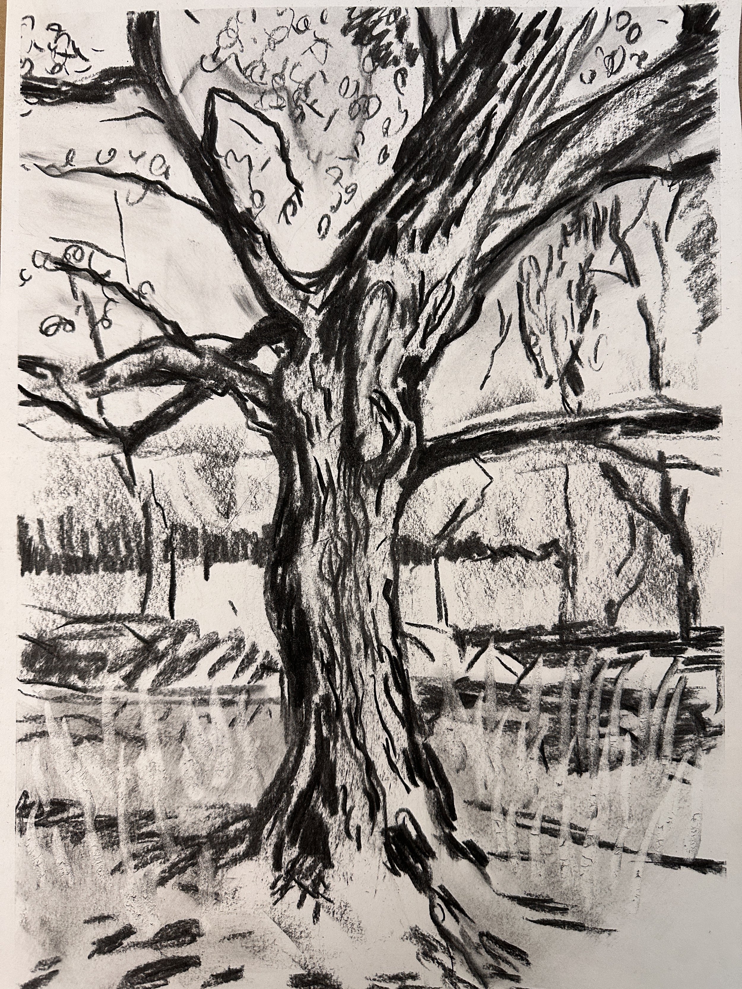 Black and white sketch of a large, twisted tree with gnarled branches in the foreground, and a fence and trees in the background.