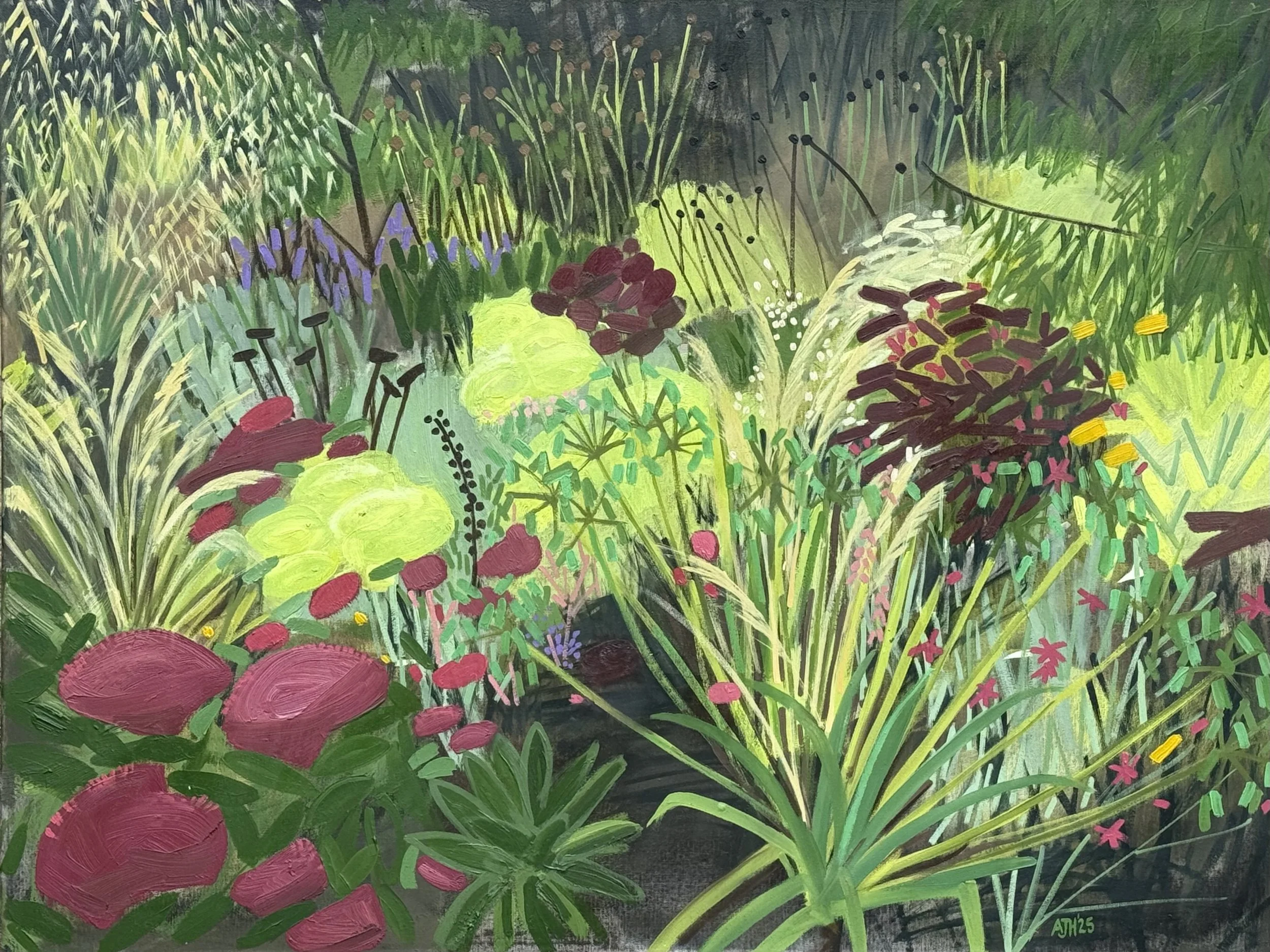 Dry Garden, with Sedum and Agapanthus Seed heads - 76 x 101.5cm - Acryllic and oil on canvas - Jane Hindmarch.jpg