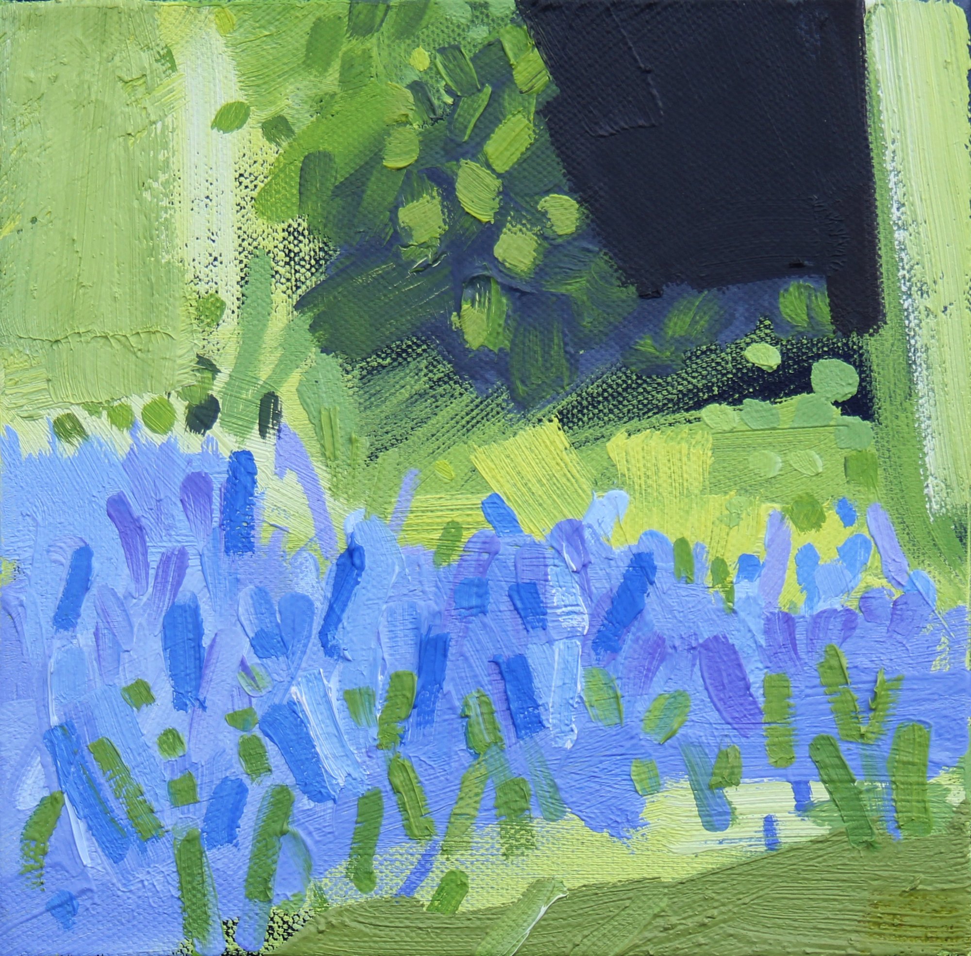 Micro Bluebell Woods 2 -  oil on canvas - 20cm x20cm 2022.jpg