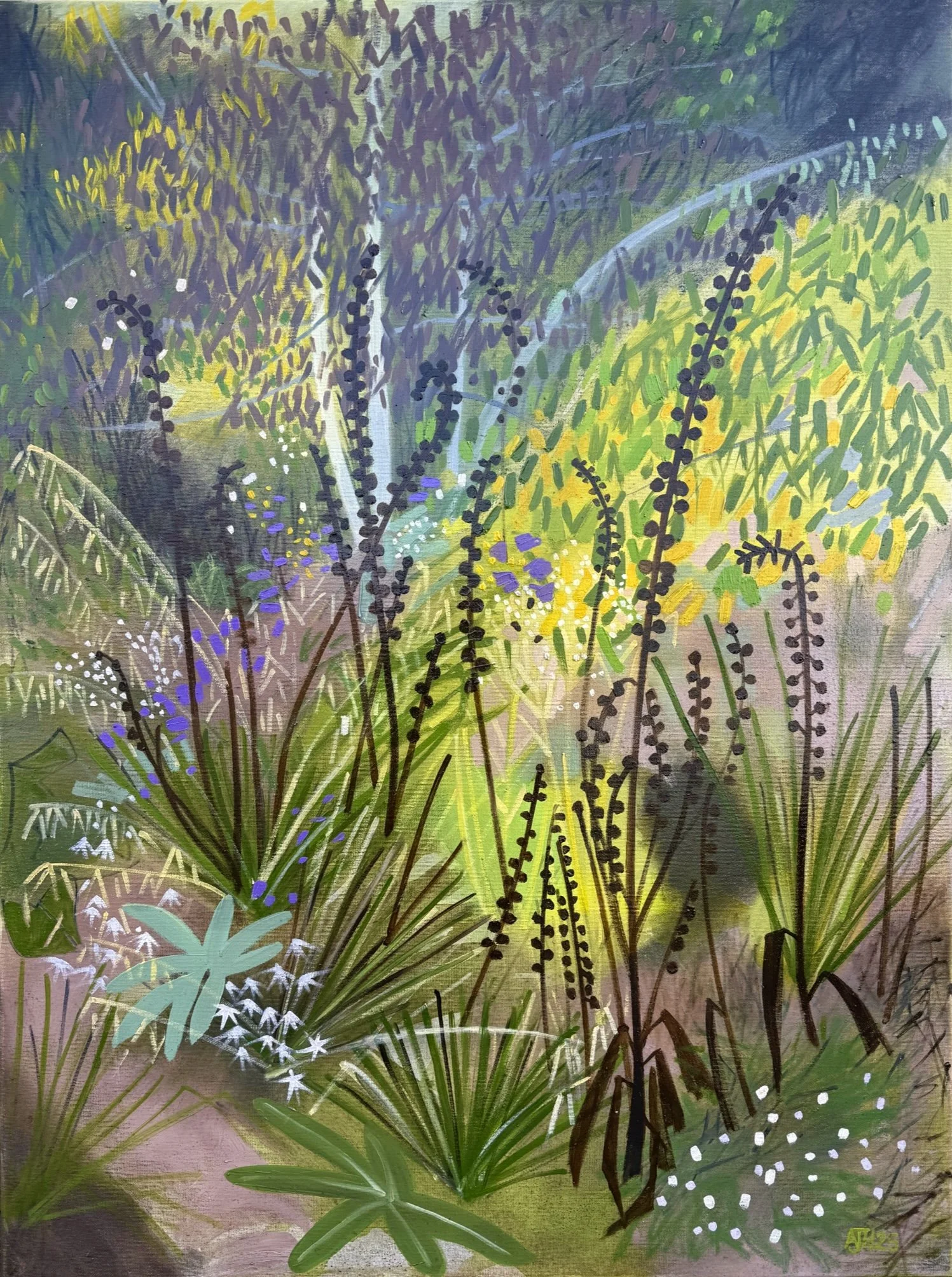 Foxglove Seed Heads, Woodland, Edge, Arcadia Garden