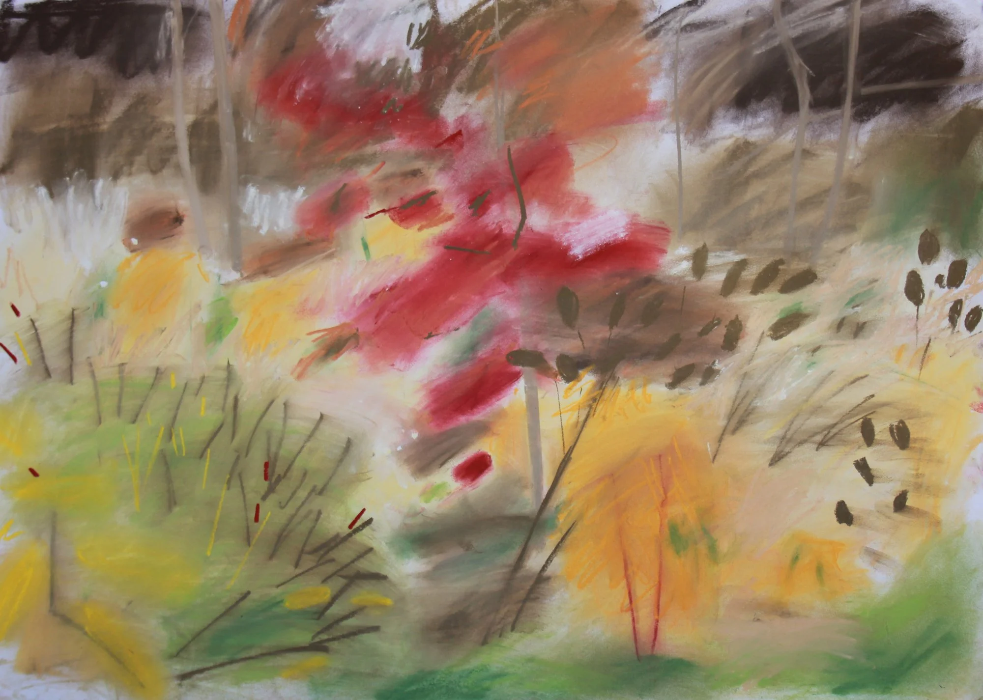 Liquidambar, Damp Meadow, Arcadia Garden