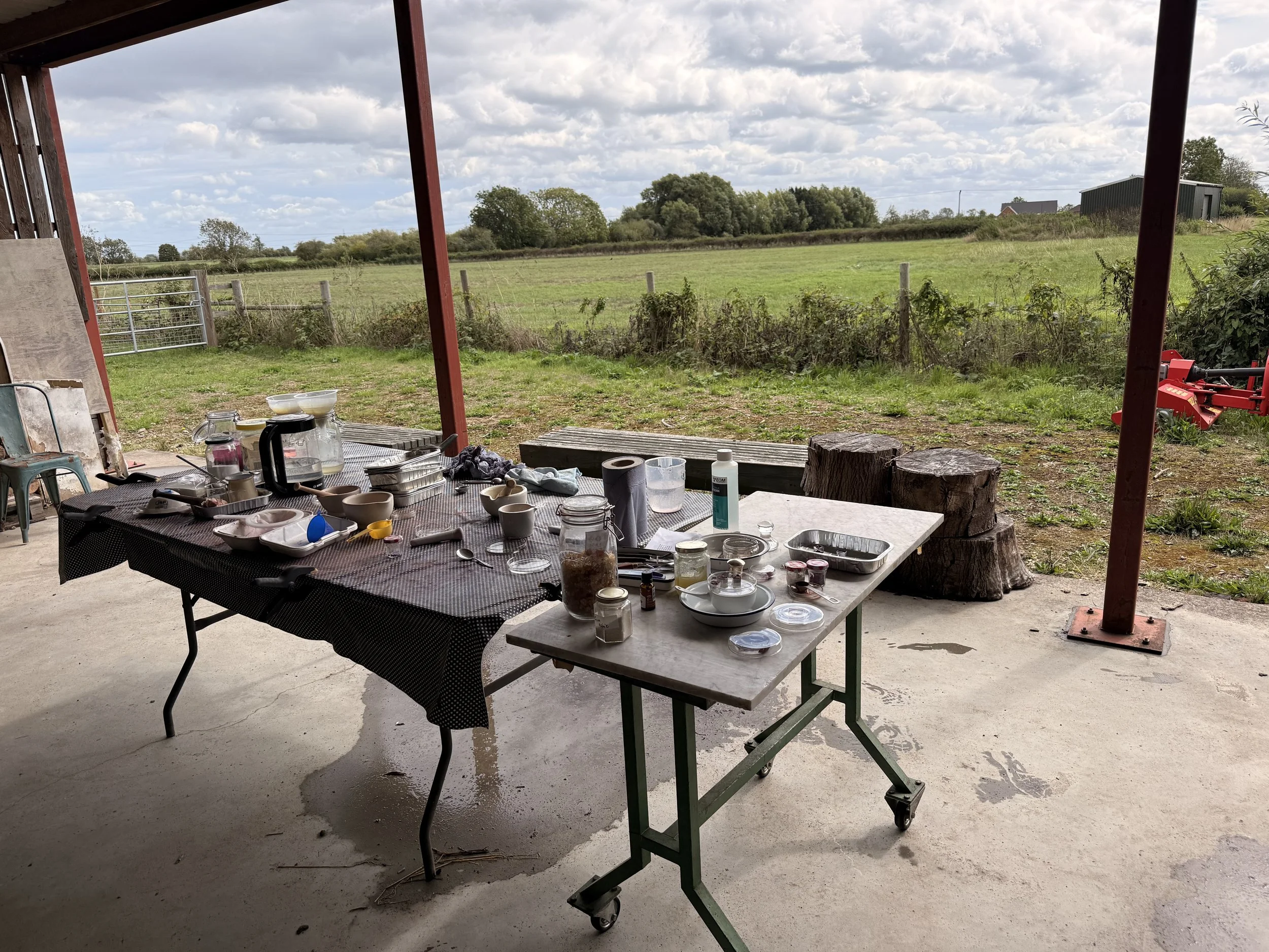 Trudy Brothwell's open air colour workshop, in Nottinghamshire.