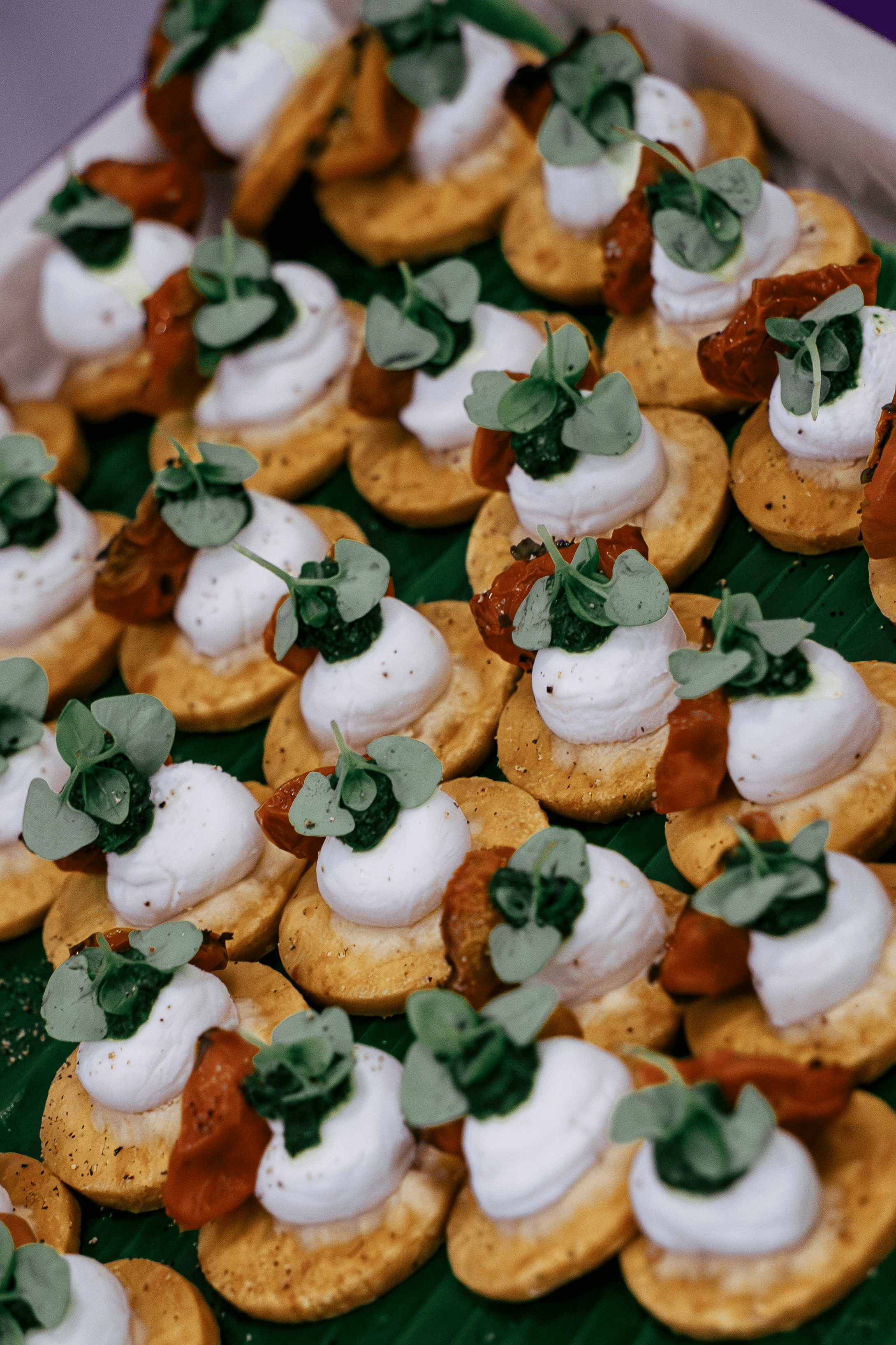 Unlikeable Summit-087.png