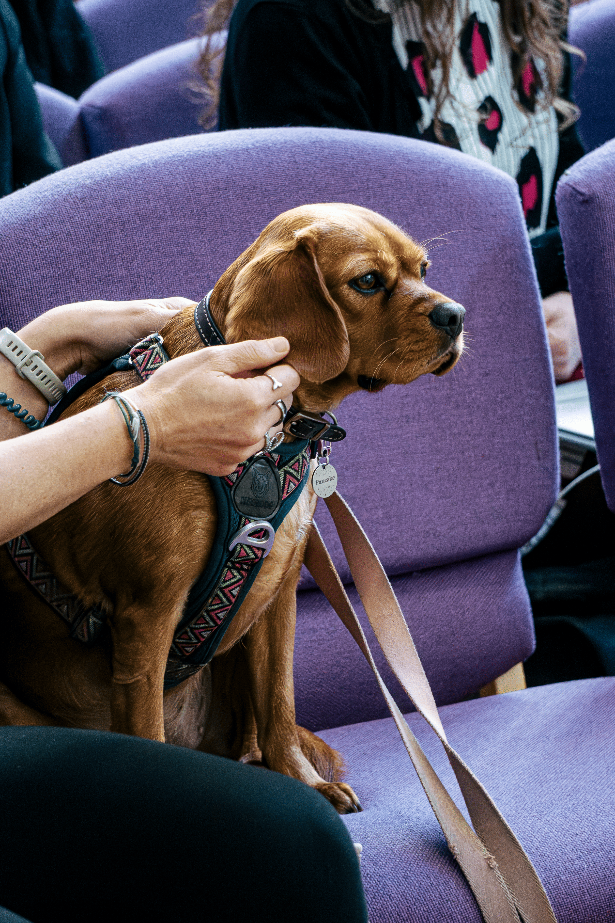 Unlikeable Summit-080.png