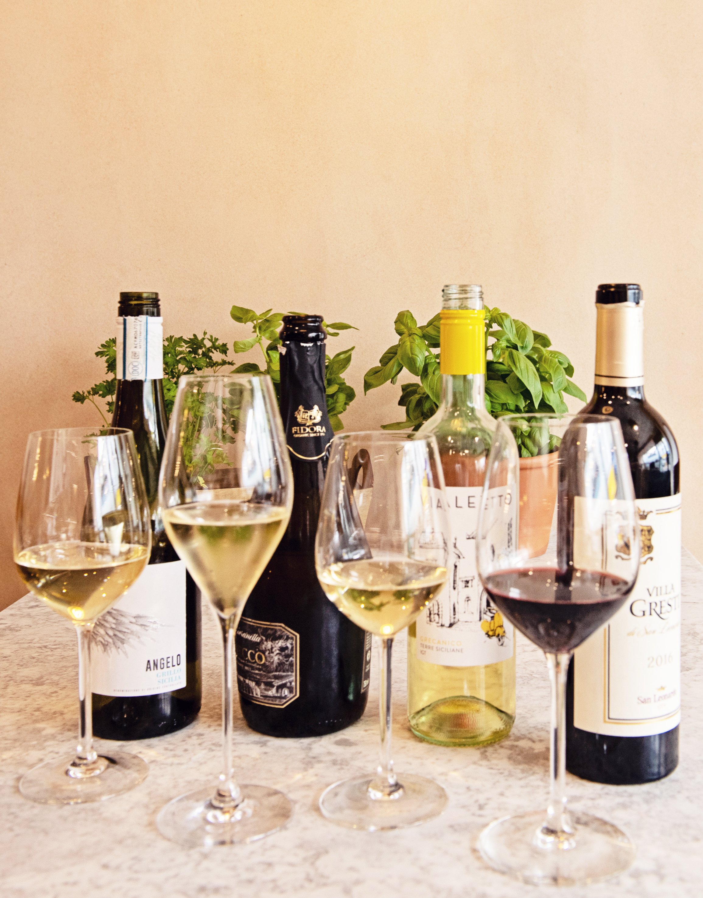 Baccello-Louise-Jolley-Photography.jpg